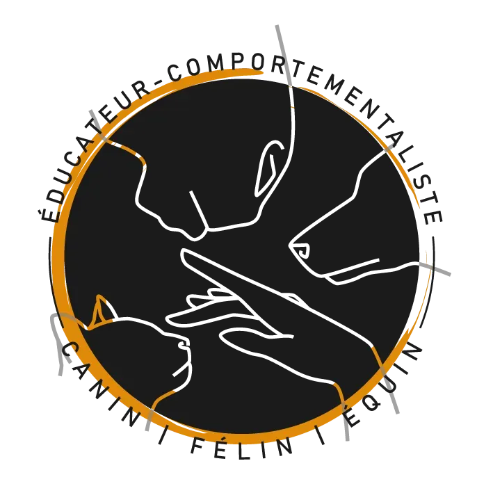 Ophélie Porcher_Logo - noir - marque jaune copiewebp