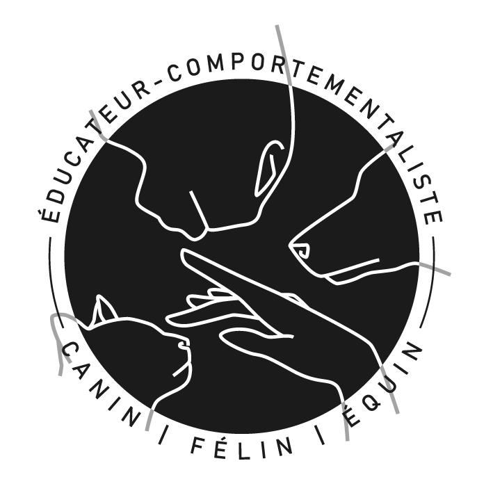 Ophélie Porcher_Logo - noir webp